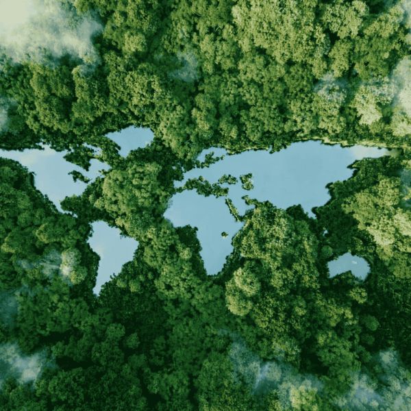 green earth 02